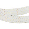 Лента светодиодная RT 2-2500 24V Day4000 5x2 (2835, 875 LED, LUX) (Arlight, 36 Вт/м, IP20)